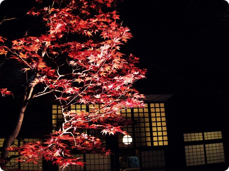 f:id:selmel:20141122231533j:image:w360