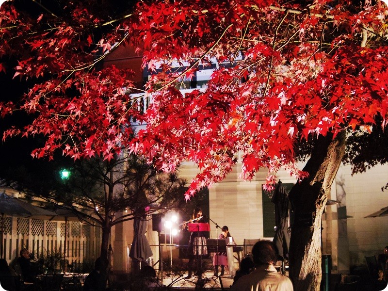 f:id:selmel:20141122231542j:image:w360