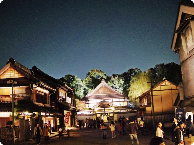 f:id:selmel:20141122232757j:image:w360