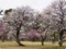 20150307230559
