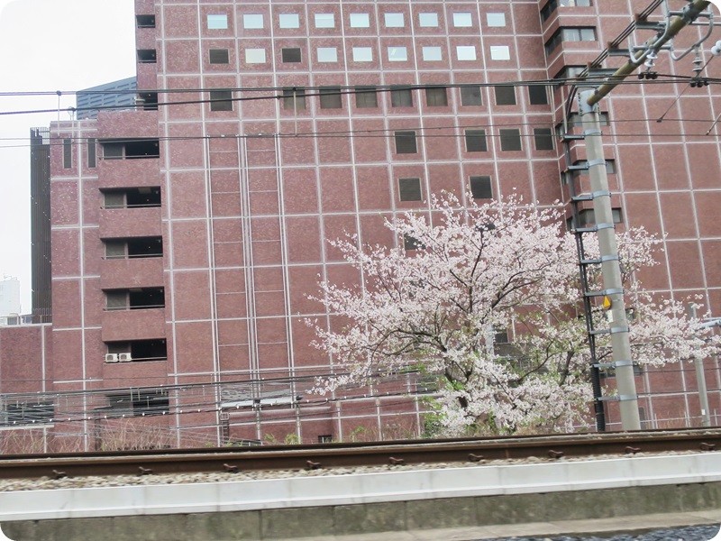 f:id:selmel:20150404215215j:image:w360 f:id:selmel:20150404215215j:image:w360
