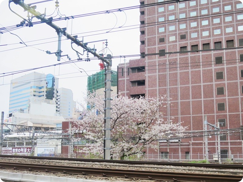 f:id:selmel:20150404215216j:image:w360 f:id:selmel:20150404215216j:image:w360