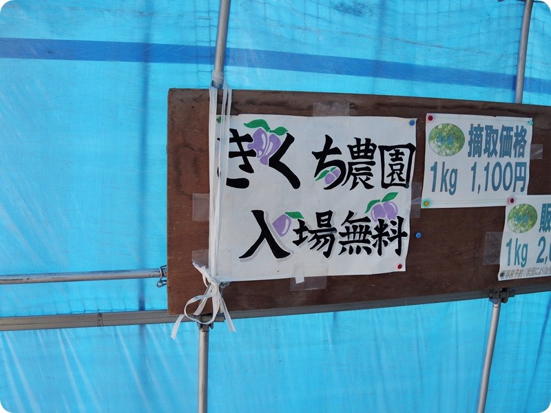f:id:selmel:20150701222611j:image:w360