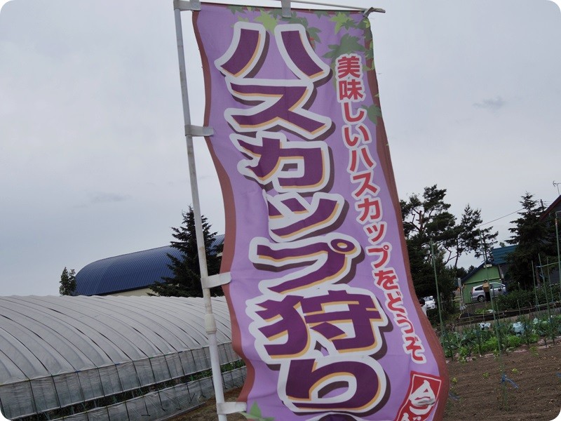 f:id:selmel:20150701222612j:image:w360