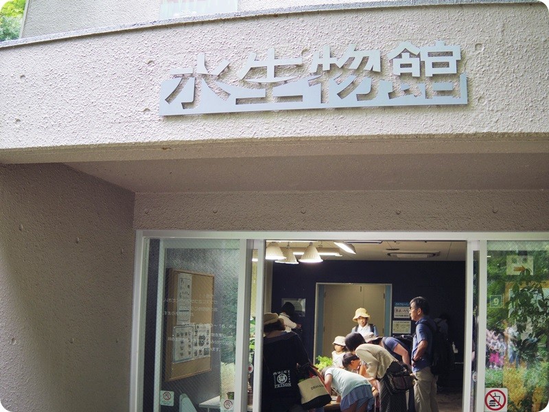 f:id:selmel:20150823203840j:image:w360