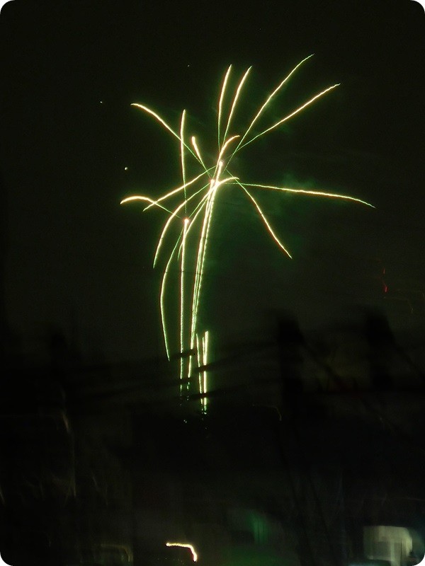 f:id:selmel:20150829210555j:image:w180