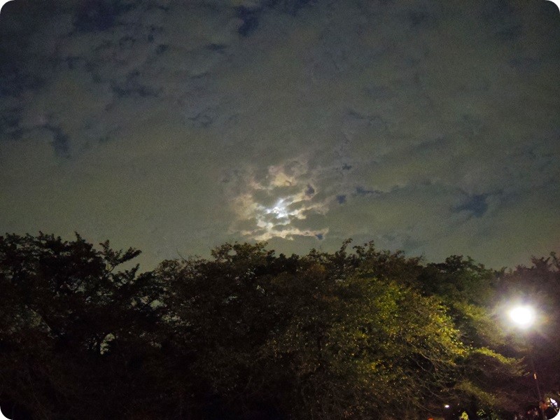 f:id:selmel:20150926205814j:image:w360 f:id:selmel:20150926205814j:image:w360