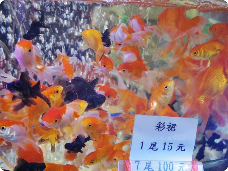 f:id:selmel:20151028234743j:image:w360 f:id:selmel:20151028234743j:image:w360