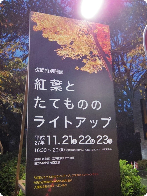 f:id:selmel:20151121213929j:image:w360