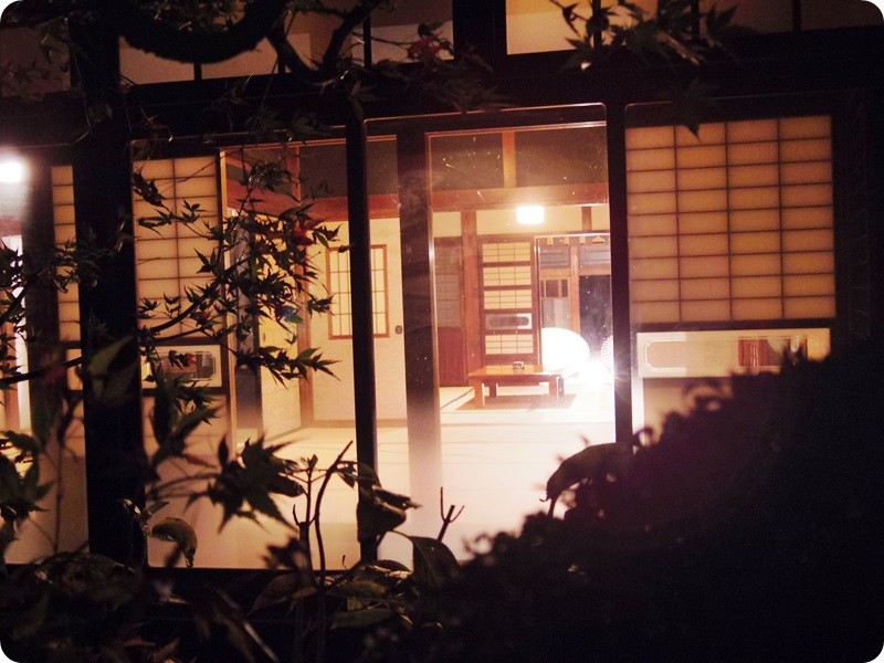 f:id:selmel:20151121220732j:image:w360