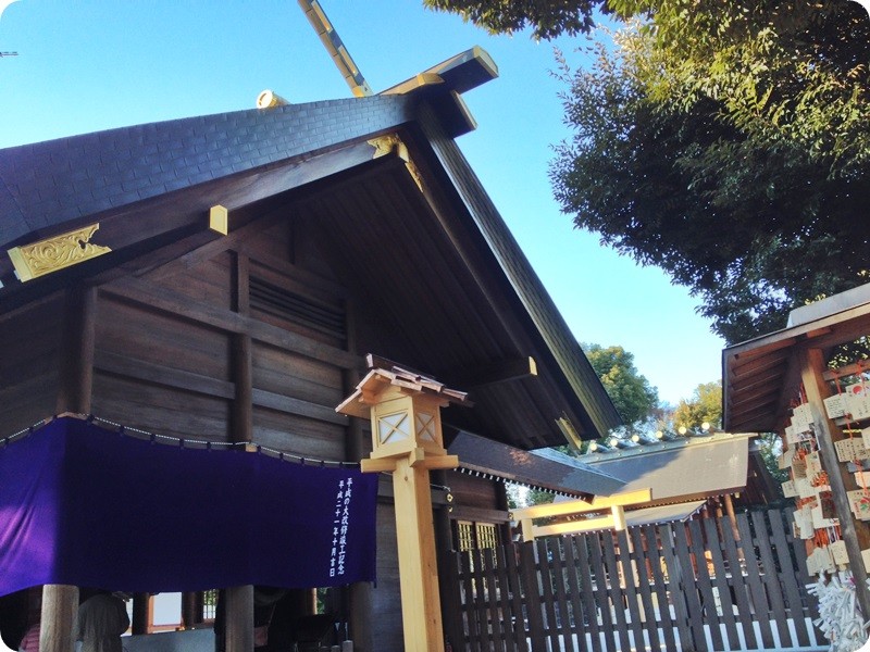 f:id:selmel:20160110210724j:image:w360