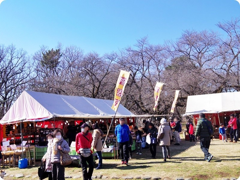 f:id:selmel:20160211190150j:image:w360 f:id:selmel:20160211190150j:image:w360