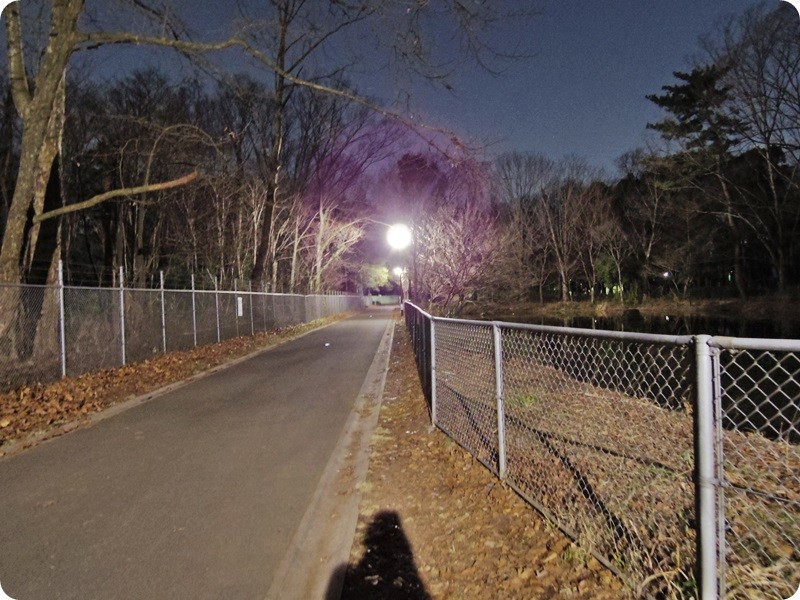 f:id:selmel:20160219222317j:image:w360 f:id:selmel:20160219222317j:image:w360