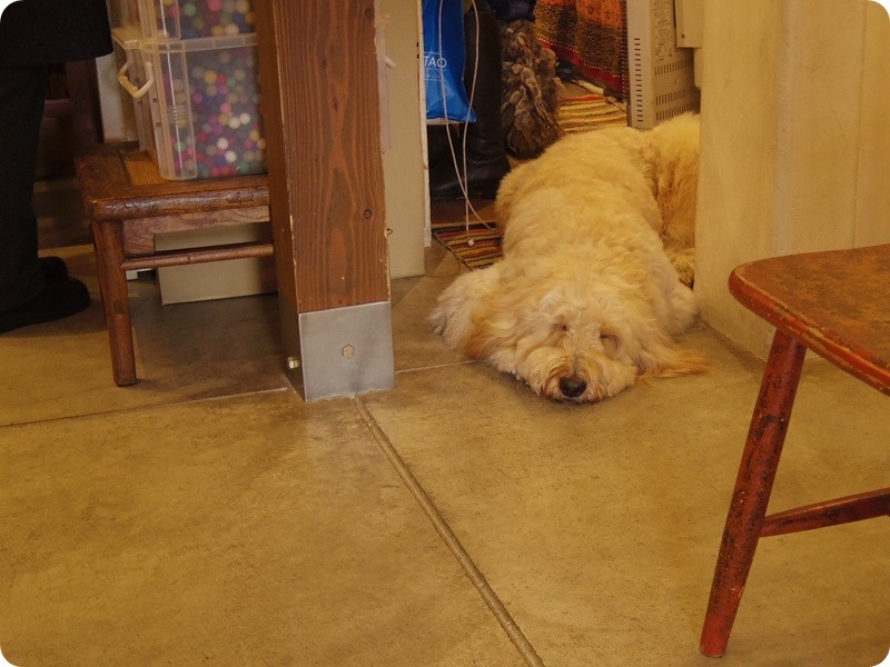 f:id:selmel:20160221212800j:image:w360 f:id:selmel:20160221212800j:image:w360