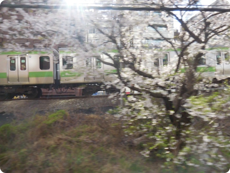 f:id:selmel:20160406212516j:image:w360