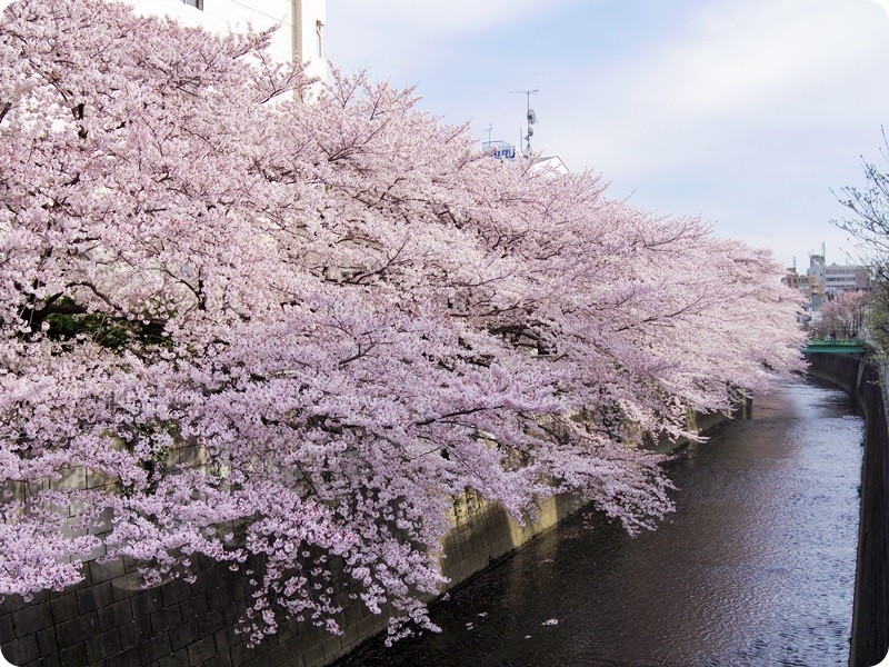 f:id:selmel:20160406234133j:image:w360 f:id:selmel:20160406234133j:image:w360