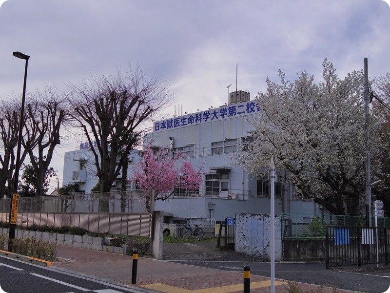 f:id:selmel:20160409231914j:image:w360 f:id:selmel:20160409231914j:image:w360