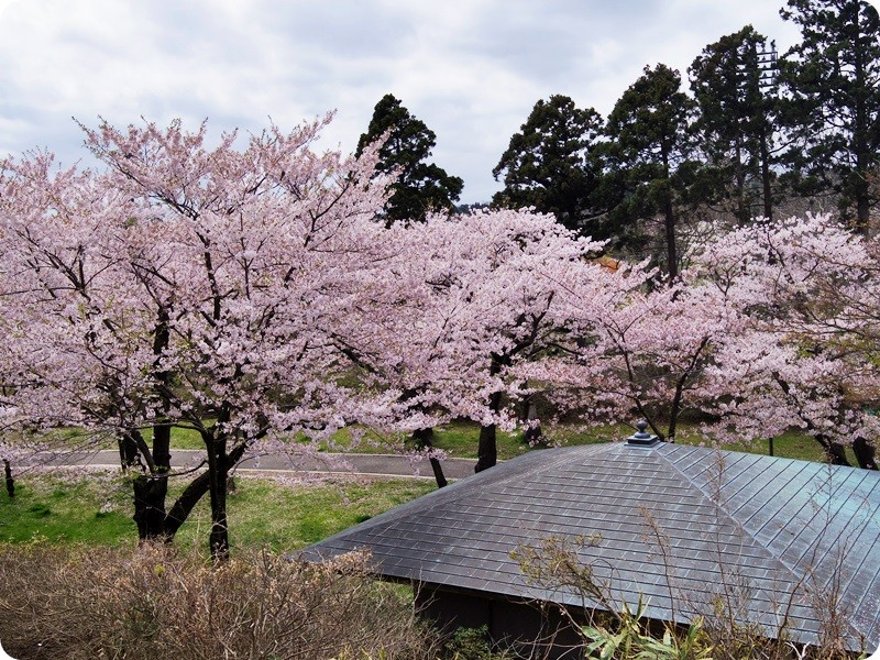 f:id:selmel:20160426224159j:image:w360