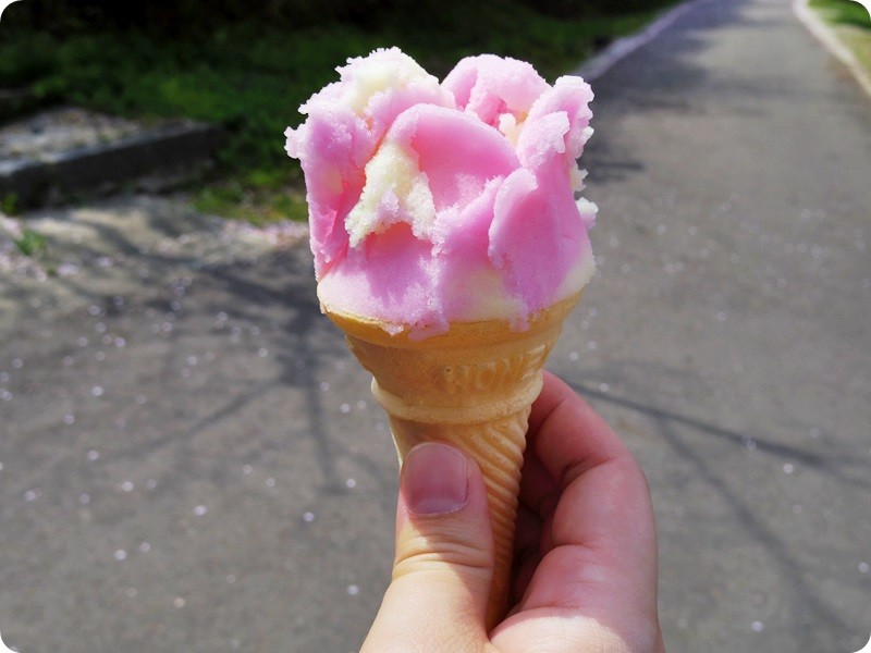 f:id:selmel:20160426224418j:image:w360