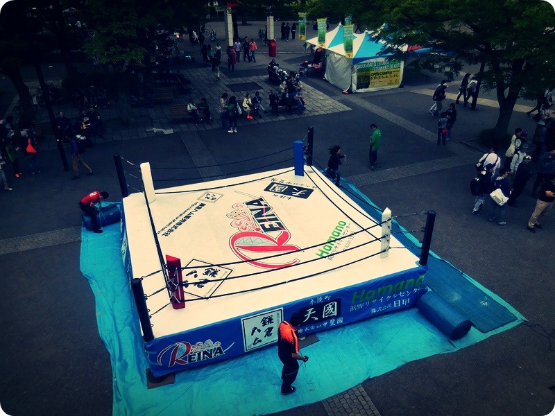 f:id:selmel:20160503223850j:image:w360 f:id:selmel:20160503223850j:image:w360