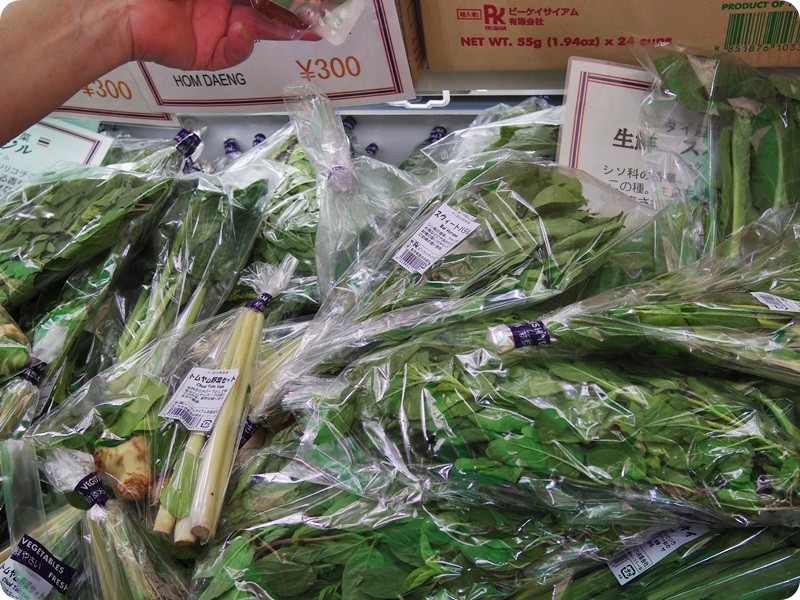 f:id:selmel:20160514183010j:image:w360