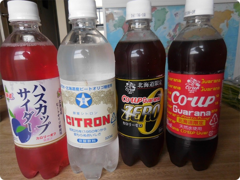 f:id:selmel:20160528233418j:image:w360