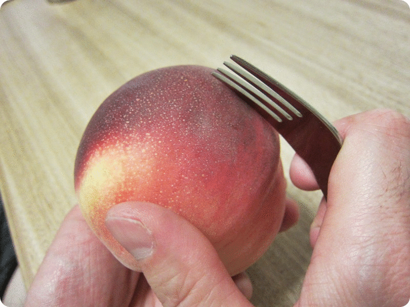 f:id:selmel:20160728225234g:image:w360 f:id:selmel:20160728225234g:image:w360