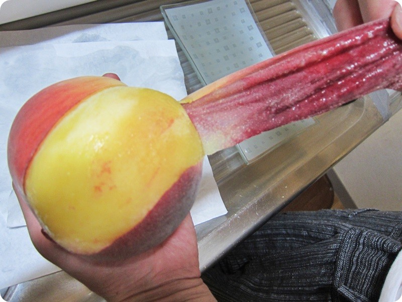 f:id:selmel:20160728225536j:image:w360 f:id:selmel:20160728225536j:image:w360