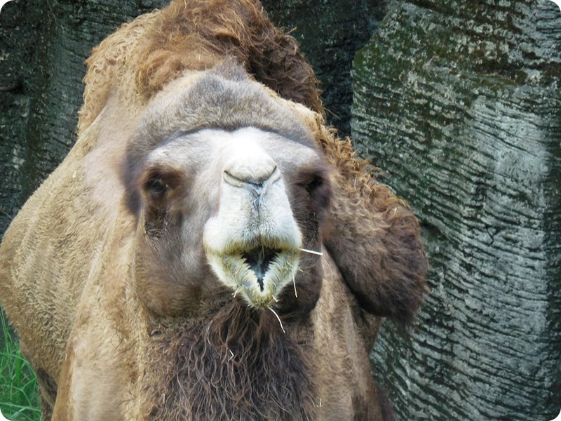 f:id:selmel:20161108224420j:image:w360