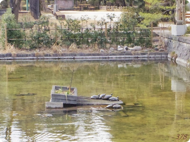 f:id:selmel:20170226213822j:image:w360 f:id:selmel:20170226213822j:image:w360