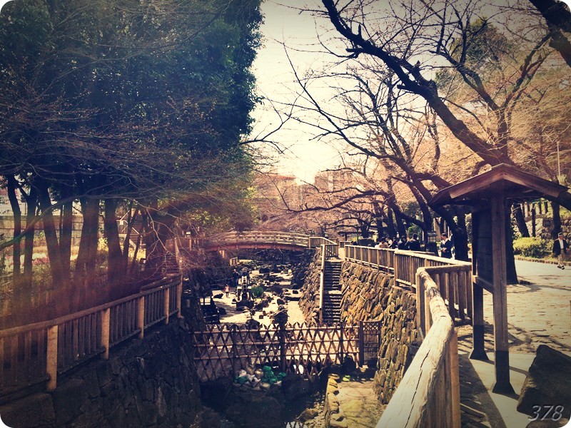 f:id:selmel:20170318200355j:image:w360 f:id:selmel:20170318200355j:image:w360