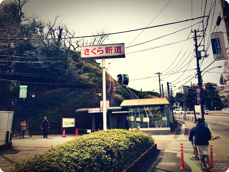 f:id:selmel:20170318200608j:image:w360 f:id:selmel:20170318200608j:image:w360