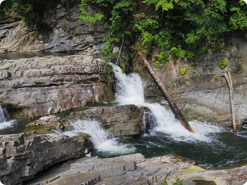 f:id:selmel:20170711231436j:image:w360 f:id:selmel:20170711231436j:image:w360