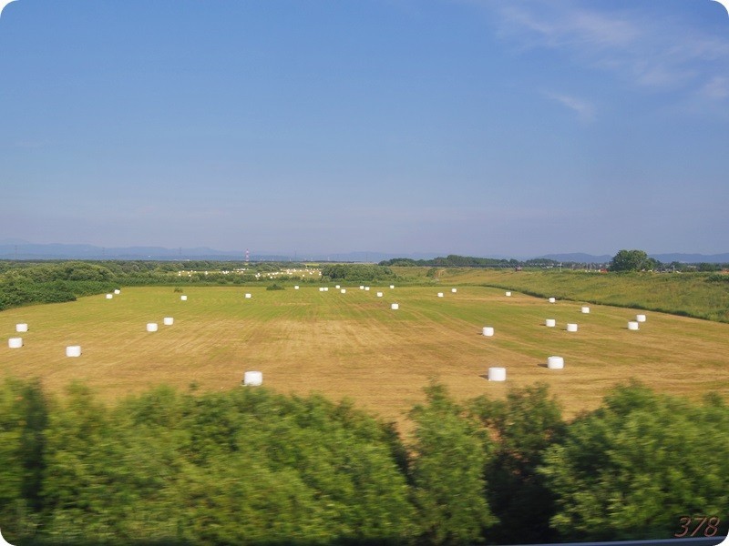 f:id:selmel:20170712235418j:image:w360