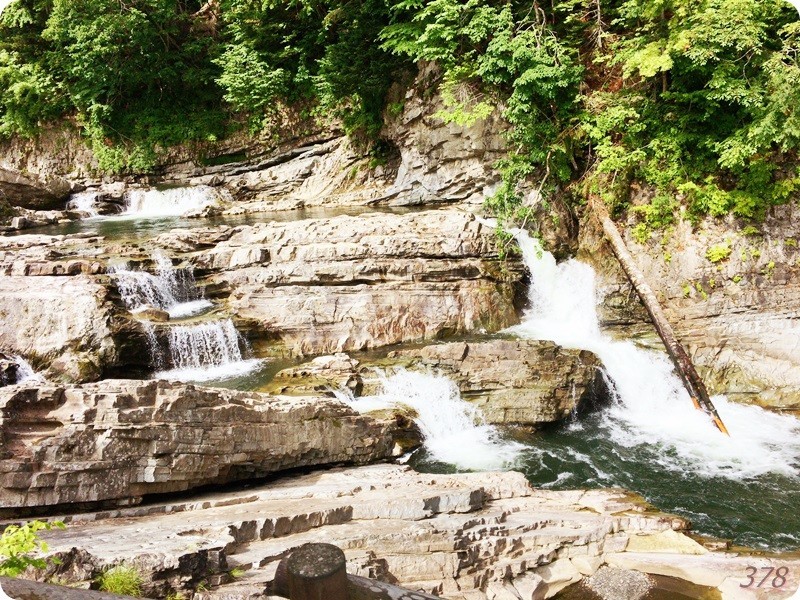 f:id:selmel:20170712235420j:image:w360