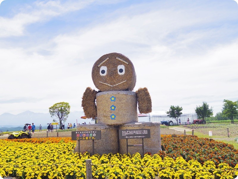 f:id:selmel:20170712235422j:image:w360