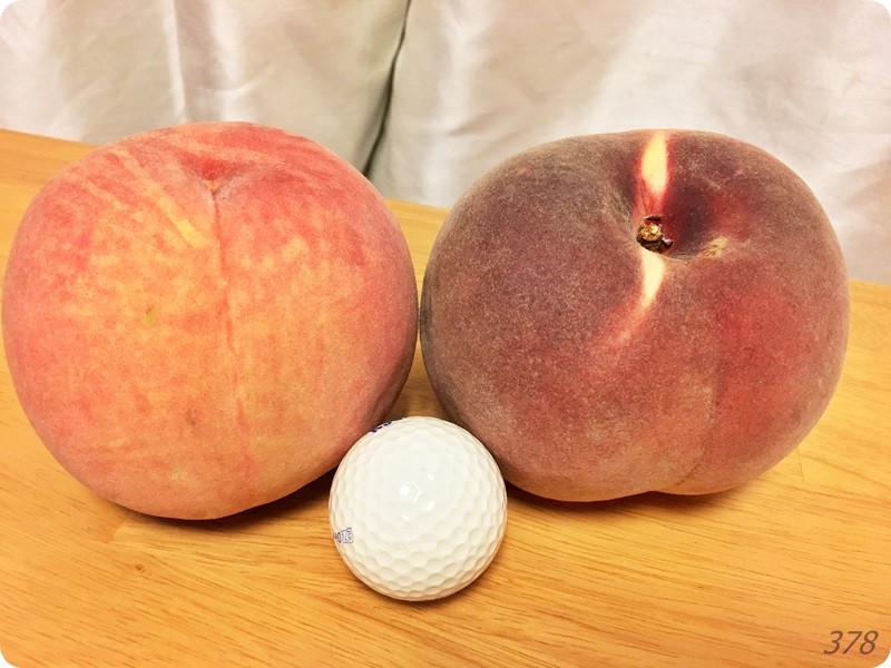 f:id:selmel:20170912221023j:image:w360 f:id:selmel:20170912221023j:image:w360