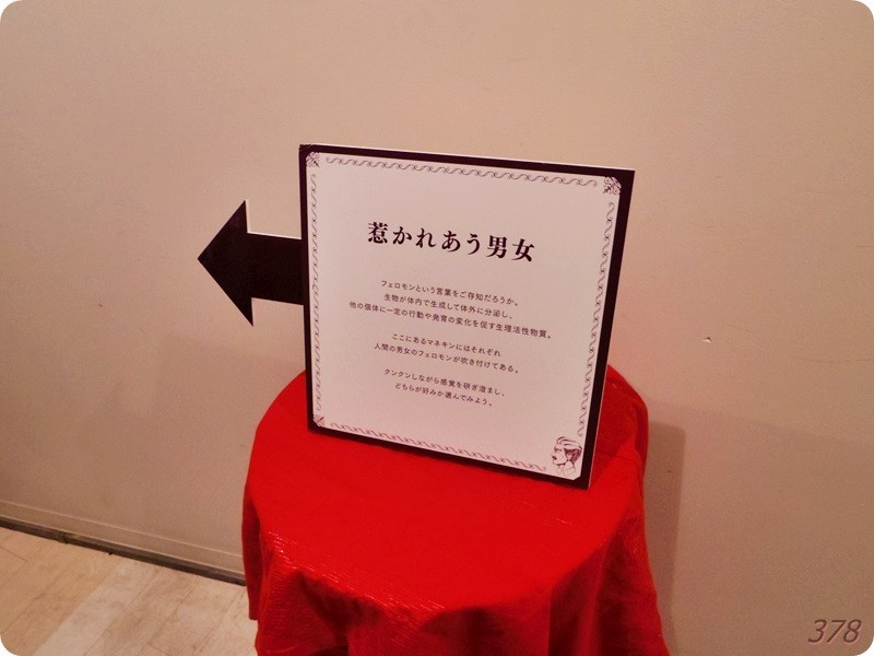 f:id:selmel:20180129182908j:image:w360 f:id:selmel:20180129182908j:image:w360