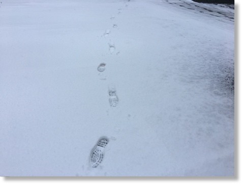 f:id:selmel:20180202075627j:image