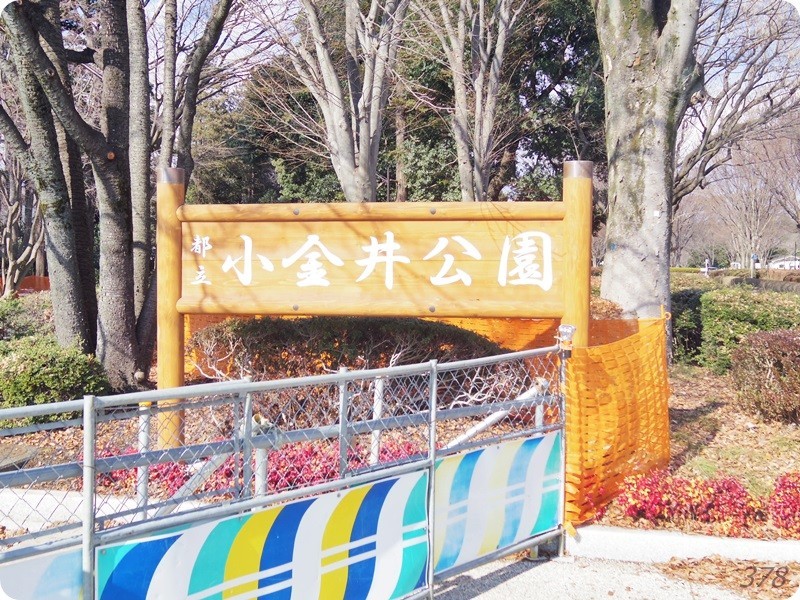 f:id:selmel:20180204155835j:image:w360