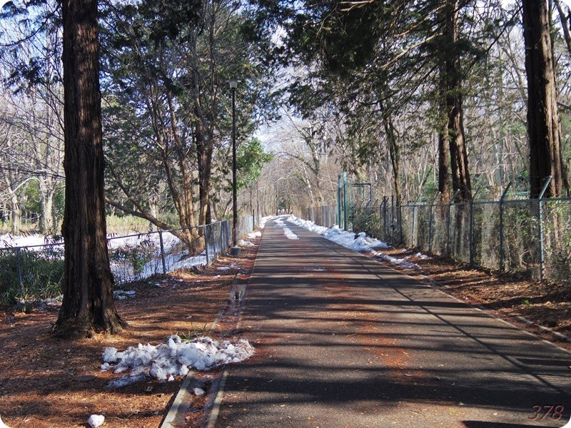 f:id:selmel:20180204155956j:image:w360