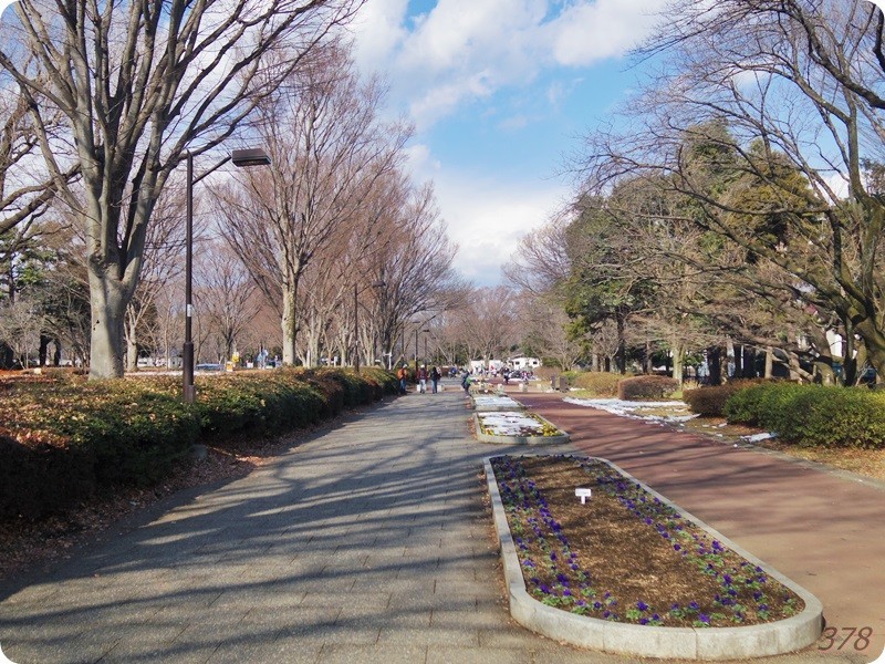 f:id:selmel:20180204160004j:image:w360