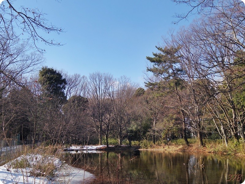 f:id:selmel:20180204160141j:image:w360