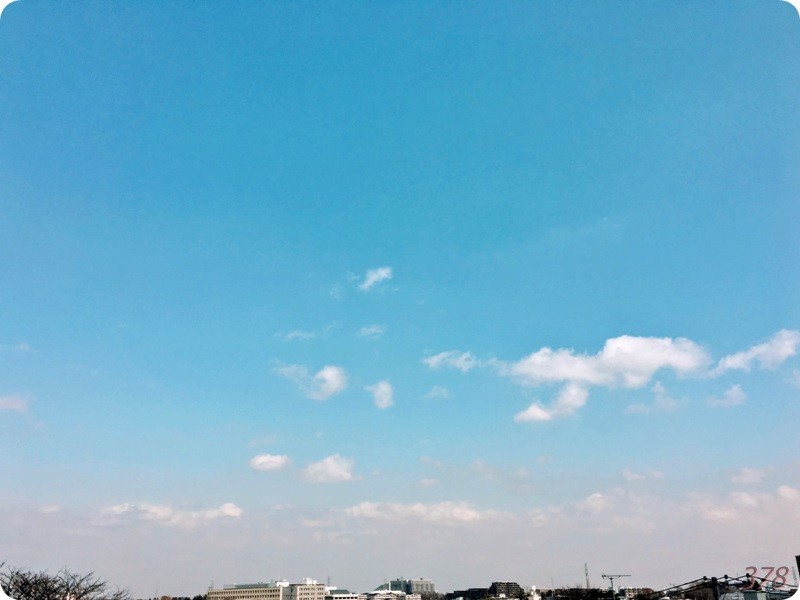 f:id:selmel:20180311145552j:image:w360