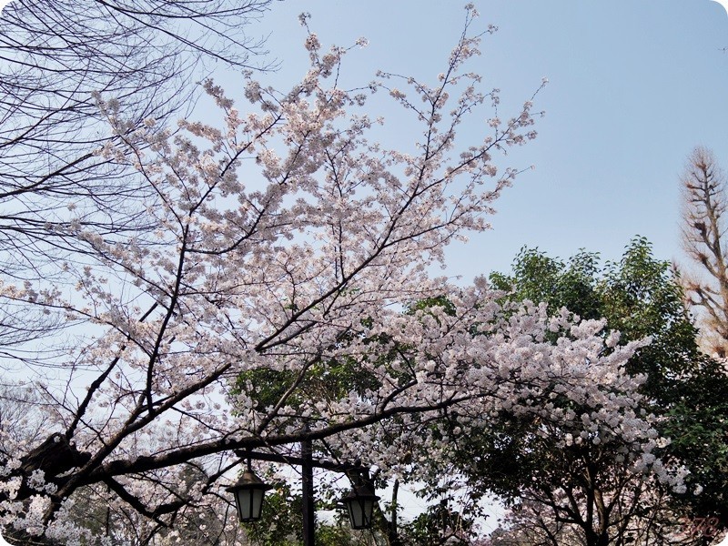 20180328215359