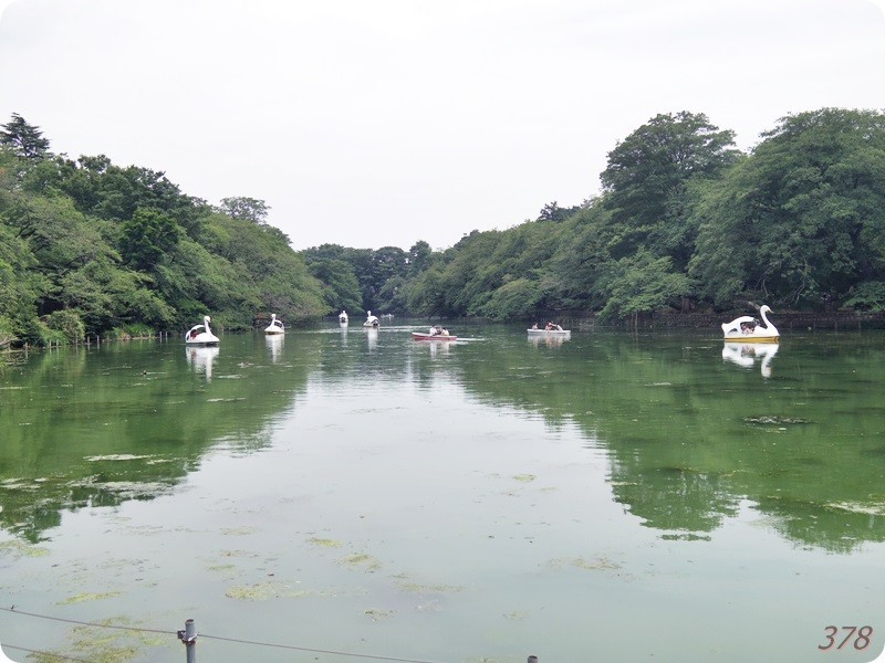 f:id:selmel:20180722222904j:image:w360