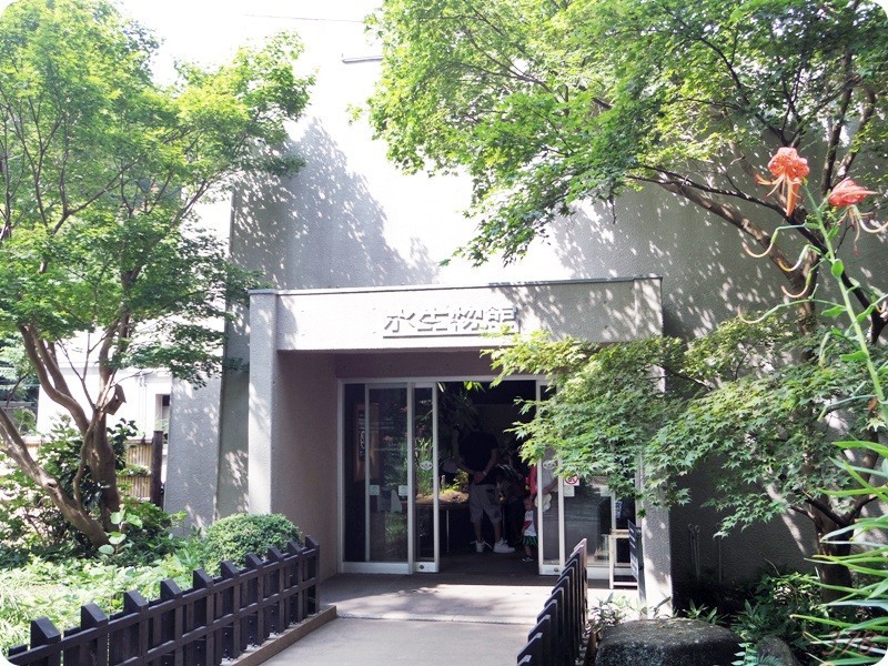 f:id:selmel:20180722223313j:image:w360