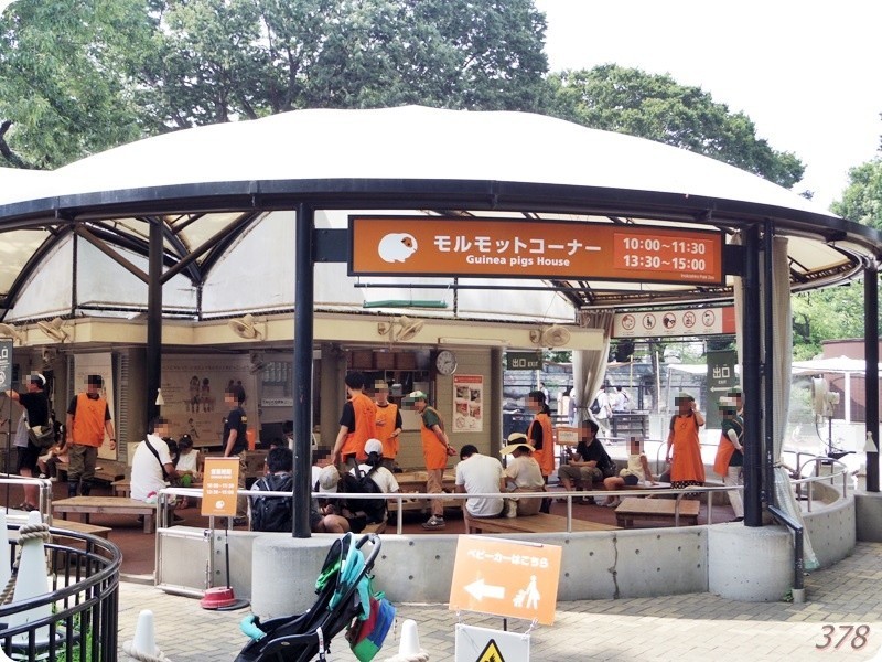 f:id:selmel:20180722231412j:image:w360