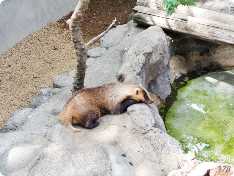 f:id:selmel:20180722232316j:image:w360