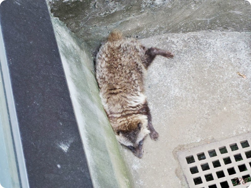 f:id:selmel:20180722232319j:image:w360